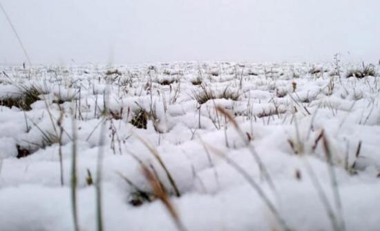 Өнөөдөр зүүн аймгуудын зарим нутгаар цас орно